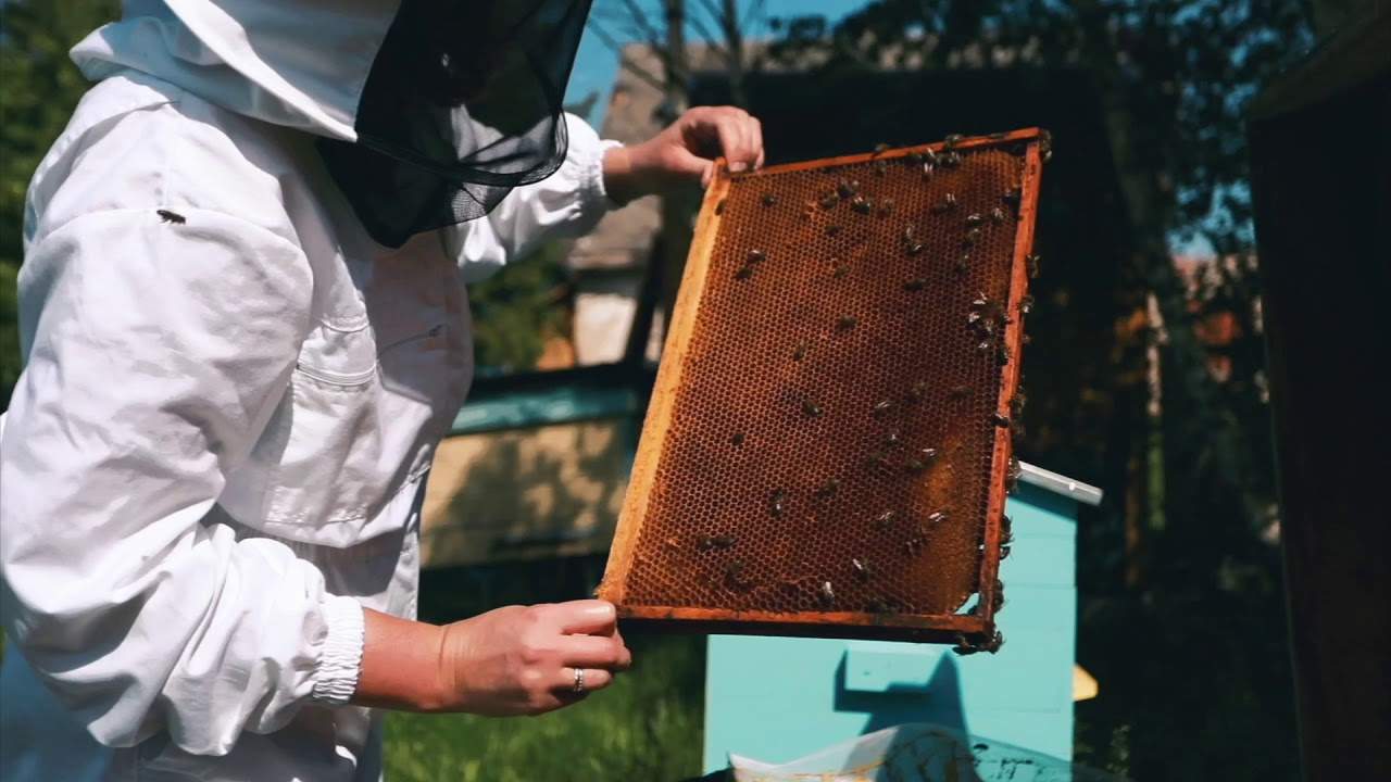 Mesilaste liigeste ravi