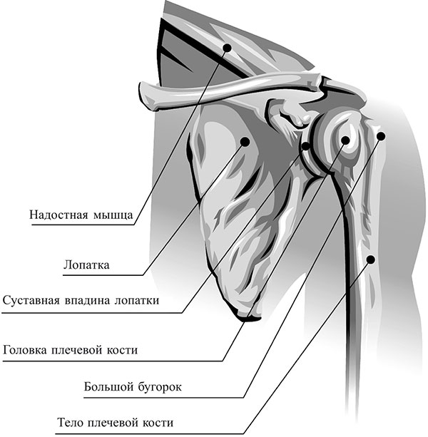 Liigeste flosteroon kaelavalu kaela