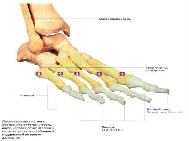 Vaikeste jala liigeste artriidi margid